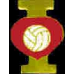 I LOVE VOLLEYBALL HEART PIN